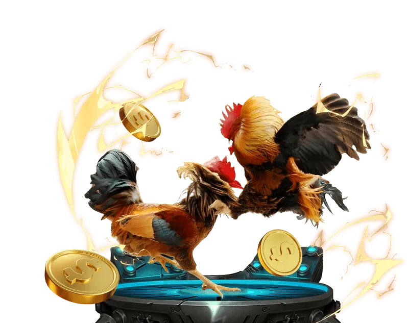 Câu hỏi thường gặp goplay05